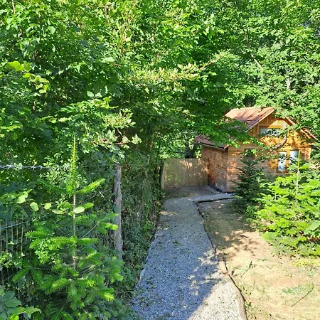 Bear Watching Tiny House