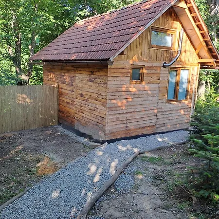 Chalet Bear Watching Tiny House Lupeni (Harghita)