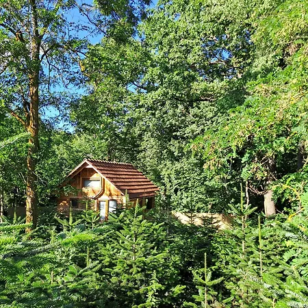 Bear Watching Tiny House * Lupeni (Harghita)