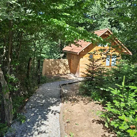Bear Watching Tiny House