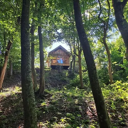 Bear Watching Tiny House