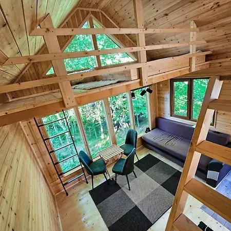 Bear Watching Tiny House Chalet Lupeni (Harghita)