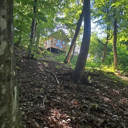 Bear Watching Tiny House *